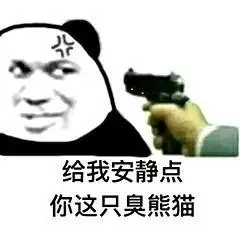 给我安静点,你这只臭熊猫_熊猫头_怼人_熊猫_安静表情