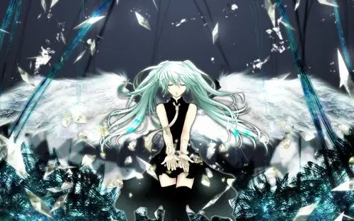 求这几张初音的原图.