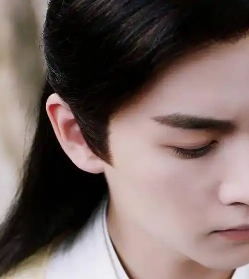 陈晓古装为什么那么绝?_剧中_林平之_造型