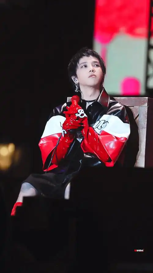 华晨宇2018鸟巢演唱会造型记录楼