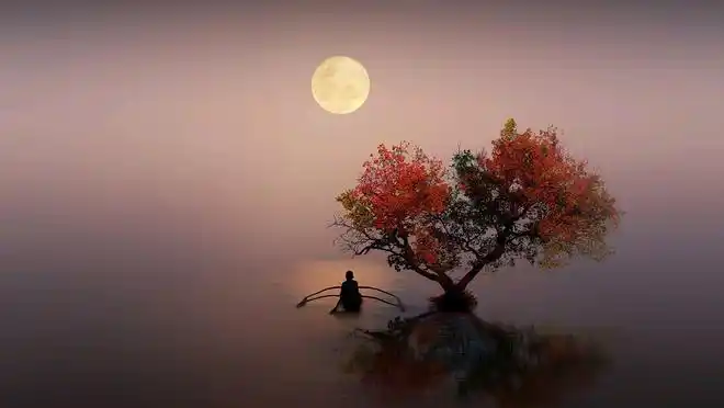 孟浩然望月抒怀写下一诗,意境凄美,宛如一幅别样的孤清月夜图|李白|唐