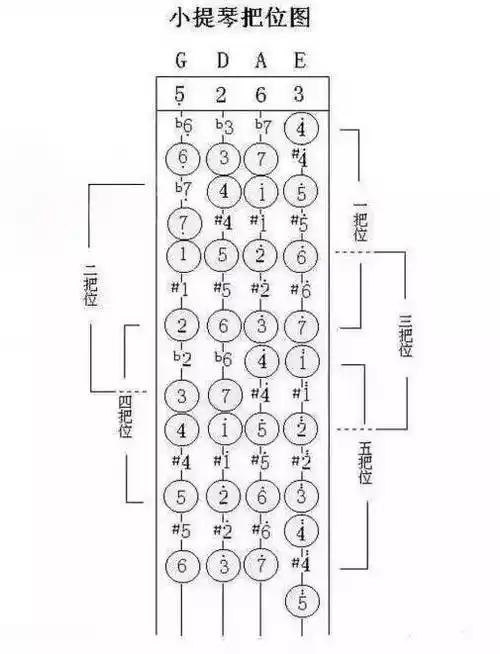 学小提琴,为什么一把位那么重要?_位置
