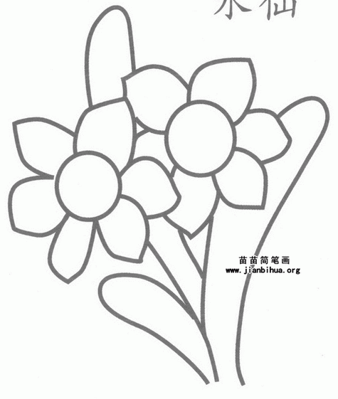 花朵简笔画简单可爱水仙 简笔画图片大全-蒲城教育文学网