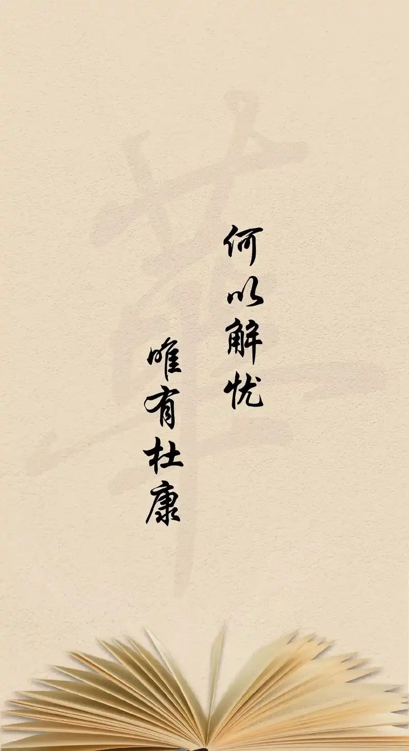 何以解忧?唯有杜康,无水印,可下载#热门  - 抖音