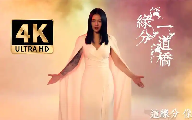 【王力宏,谭维维《緣分一道橋》】4k宽屏无损音质,挺震撼的