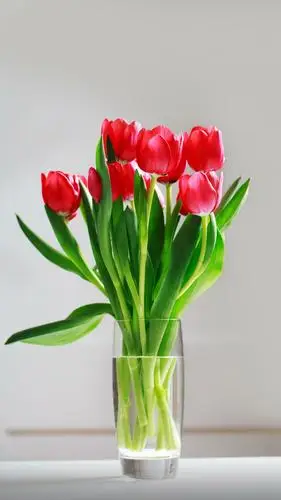 王莹莹-个人空间-老师空间