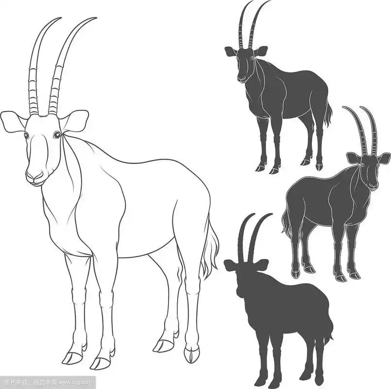 一套羚羊羚羊