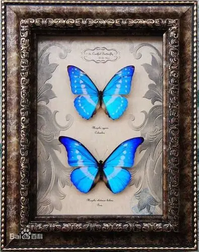 无处不在的对称之美