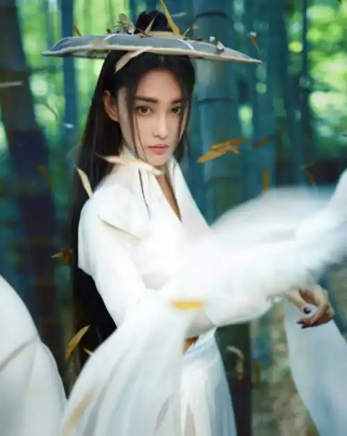 回顾嫁给军三代何捷生下一个女儿张馨予的生活幸福吗