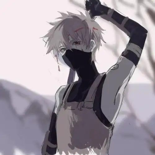 蒙面忍者头像图片大全 - 搜狗图片搜索