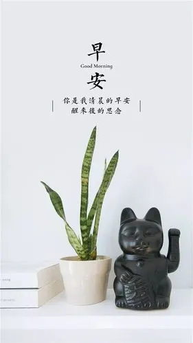 朋友圈非常走心的早安心情句子句句入心窝