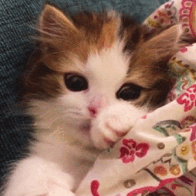 搞笑大合集让你一次笑个够笑到抽筋别怪我啊