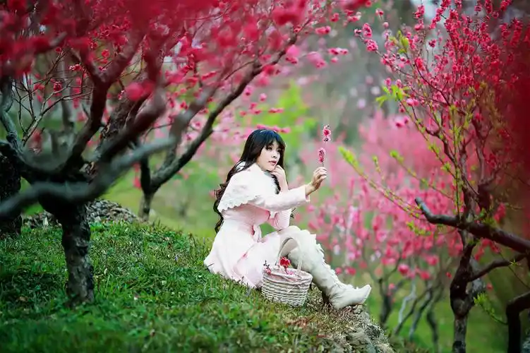 舞者瑞星的喜欢