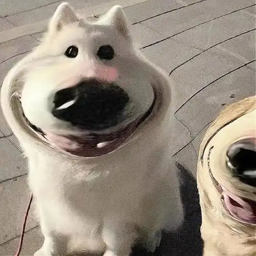 沙雕头像|啊啊啊啊呜呜呜