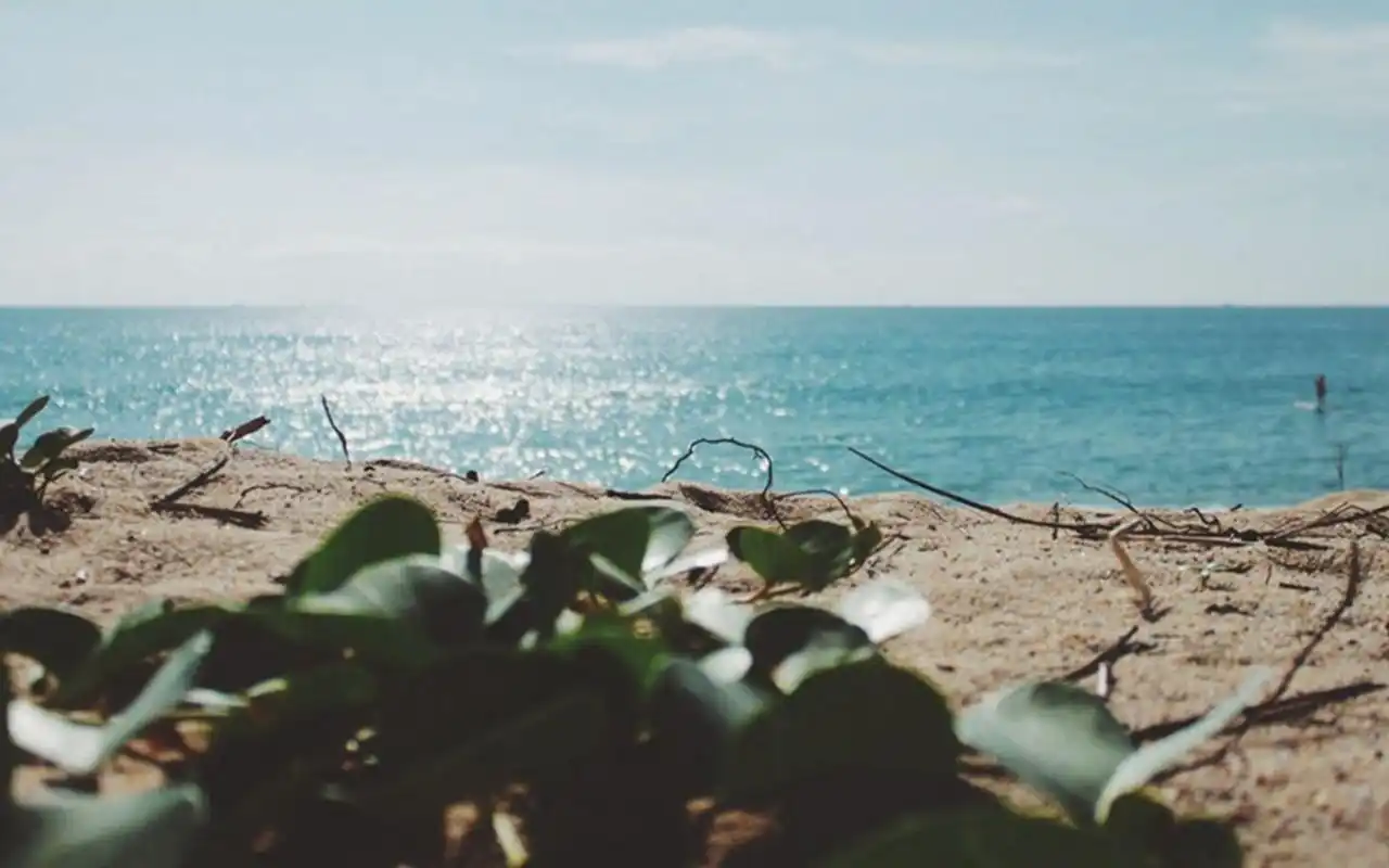 小清新文艺风景静物高清桌面壁纸