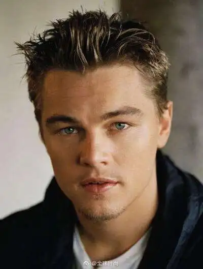 小李子现在的样子