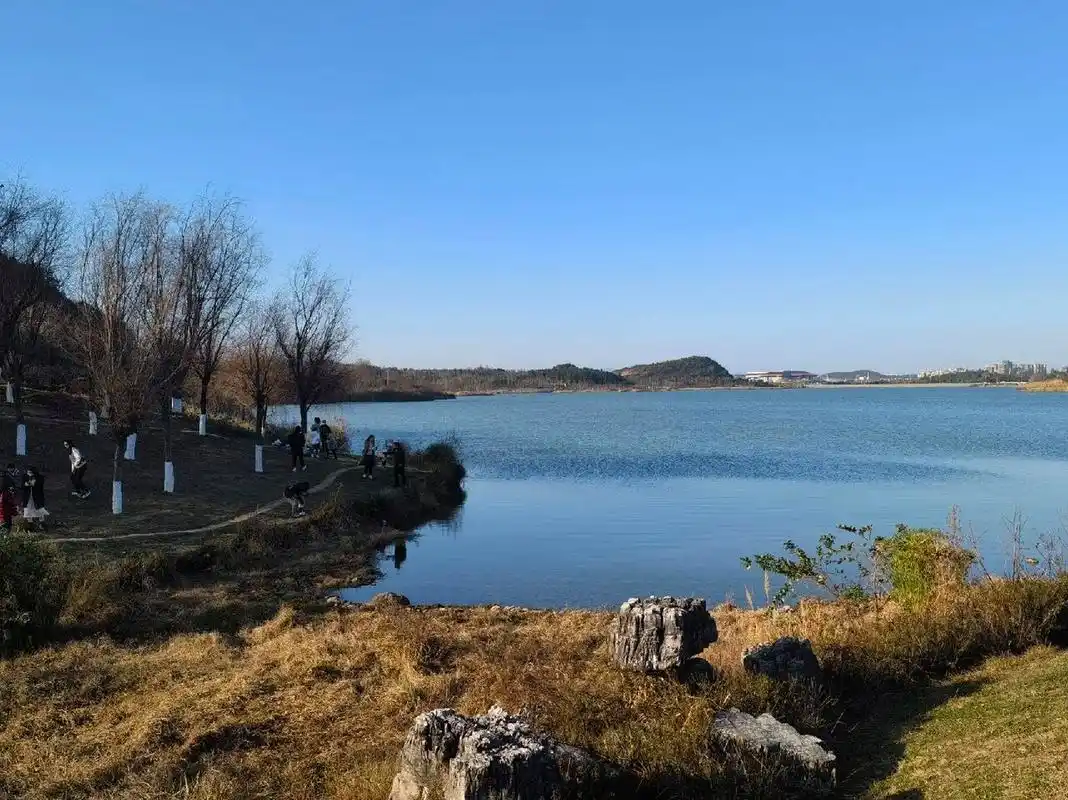 贵阳遛狗 | 听月亮湖冬日的声音 看到很多推荐,终于在贵阳冬天难得