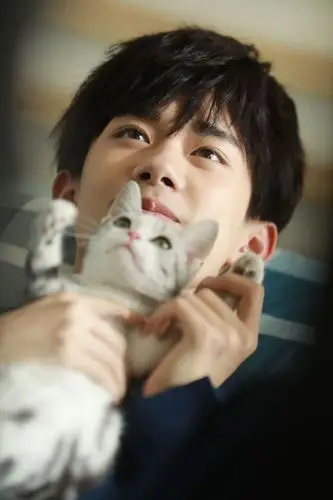 或许,你的猫和易烊千玺的猫就差