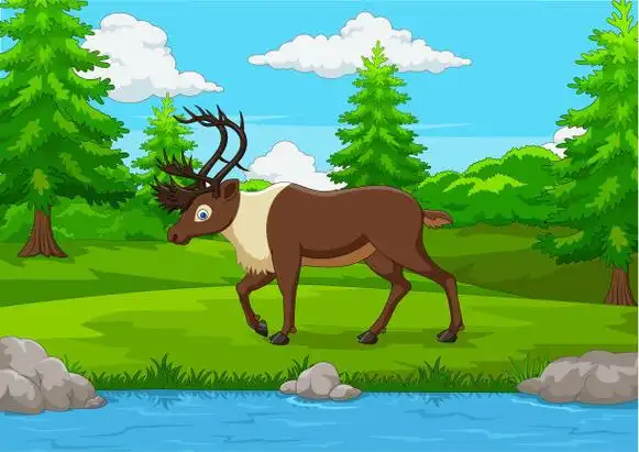 加拿大马鹿图片