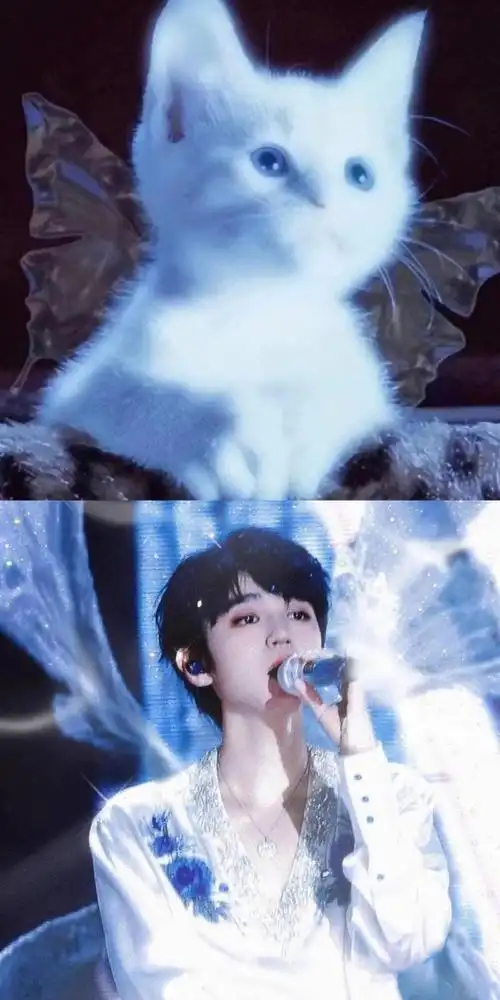 王俊凯浑身是胆##王俊凯看到哥哥我怕的反应