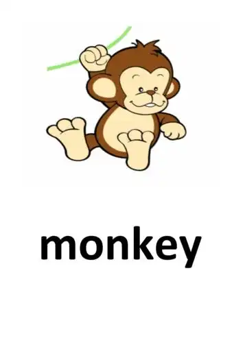 英文动物教具35个清晰图片文字doc36页