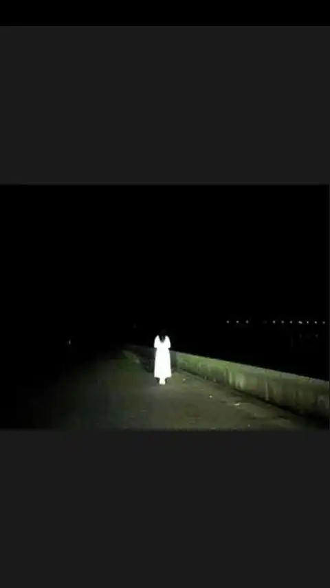 昨晚本宫半夜出去玩,路上遇到个女鬼,吓到本宫了.