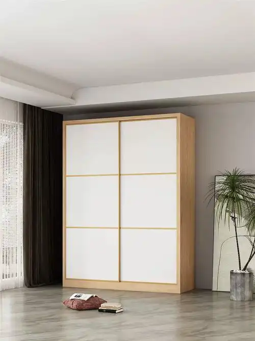 现代简约家用卧室两门实木轻奢大衣橱经济主卧储物推拉移门大衣柜