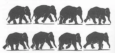 生命王国的数学游戏