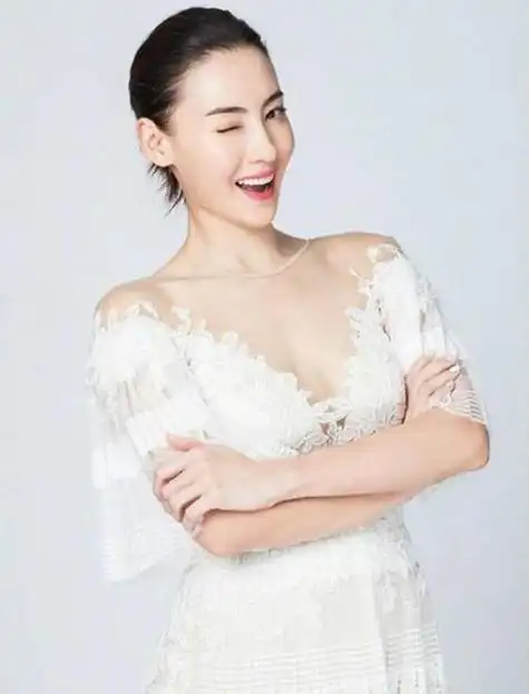 张柏芝个人资料(张柏芝个人资料简介 年龄)