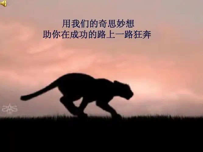 用我们的奇思妙想 助你在成功的路上一路狂奔