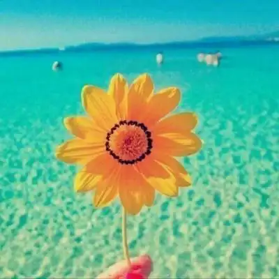 最质朴的快乐2021招财幸运头像以上就是与女生用什么样的图片做微信