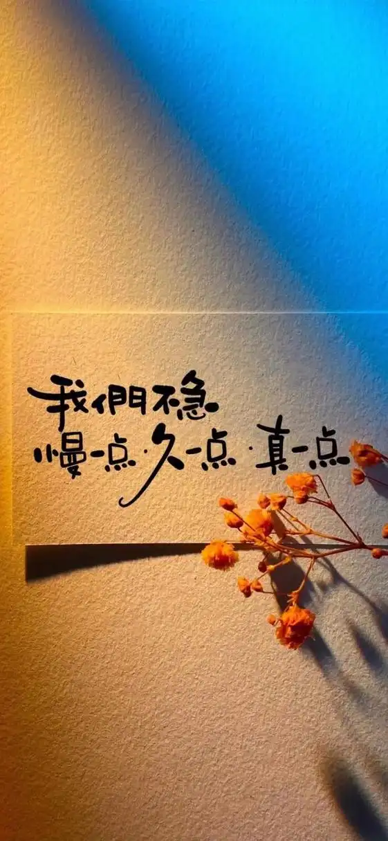 壁纸# #文字壁纸# 人生苦短,不用你管