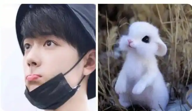 我们的战战真的好可爱啊,不愧是肖兔兔本92#肖战