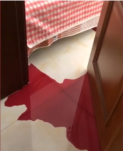 河北:地上有一滩"血",好似凶案现场,女子开门后让她哭笑不得