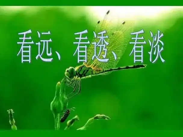 但正是这些经历,让我们更加深刻地懂得了人生的意义.