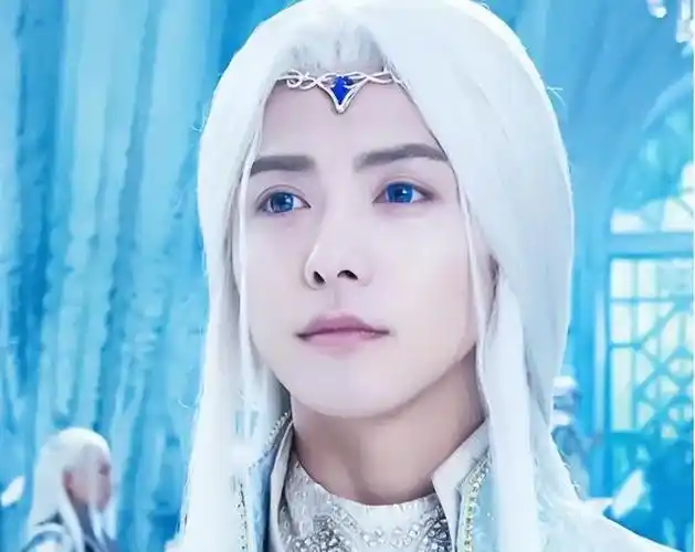 姓白的名人(这9位"白发美男子")