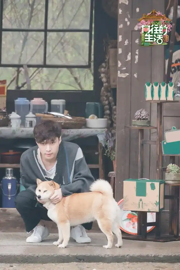 向往的生活第五季神秘嘉宾空降蘑菇屋家人齐力垦新地