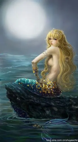 人鱼,,,,练习一张