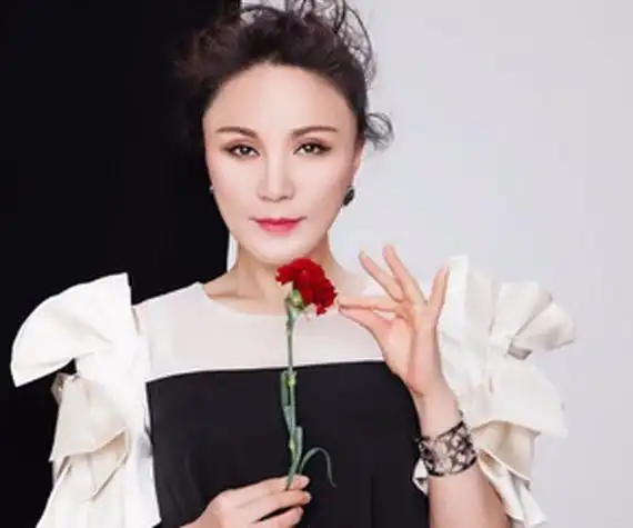 林萍简历个人资料没有太多家庭和私生活的信息