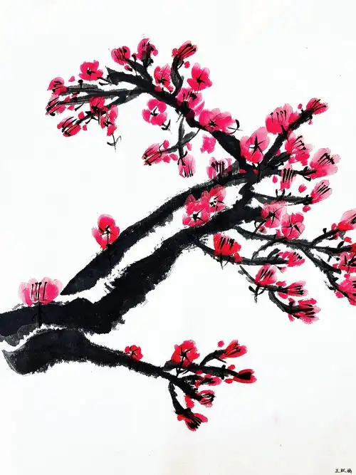 梅  :梅花香自苦寒来,优秀的学生学习梅花的画法,且了解梅花:坚强