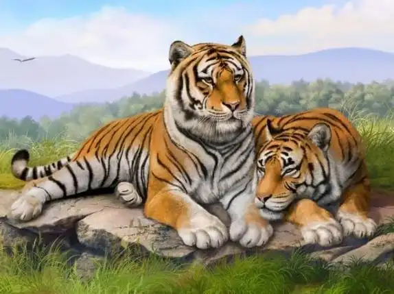 老虎和龙生肖配对吗 老虎和龙属相配吗-卜安居