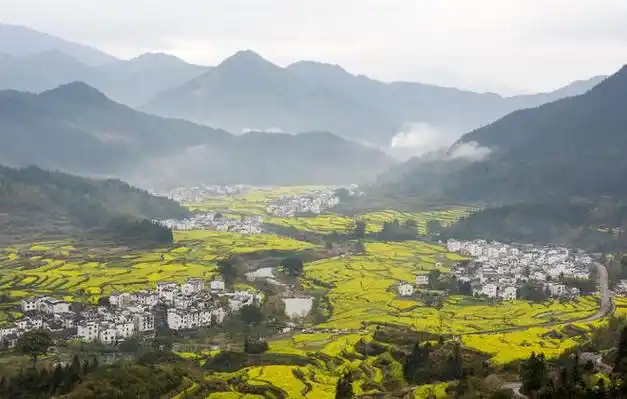 江西婺源春景如画|梯田|婺源县|上饶市|江西省|江岭村_网易订阅