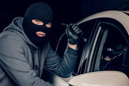 强盗,拿着手电筒对准了dri一男一女拿着新鲜蔬菜在乡下的汽车旁蒙面