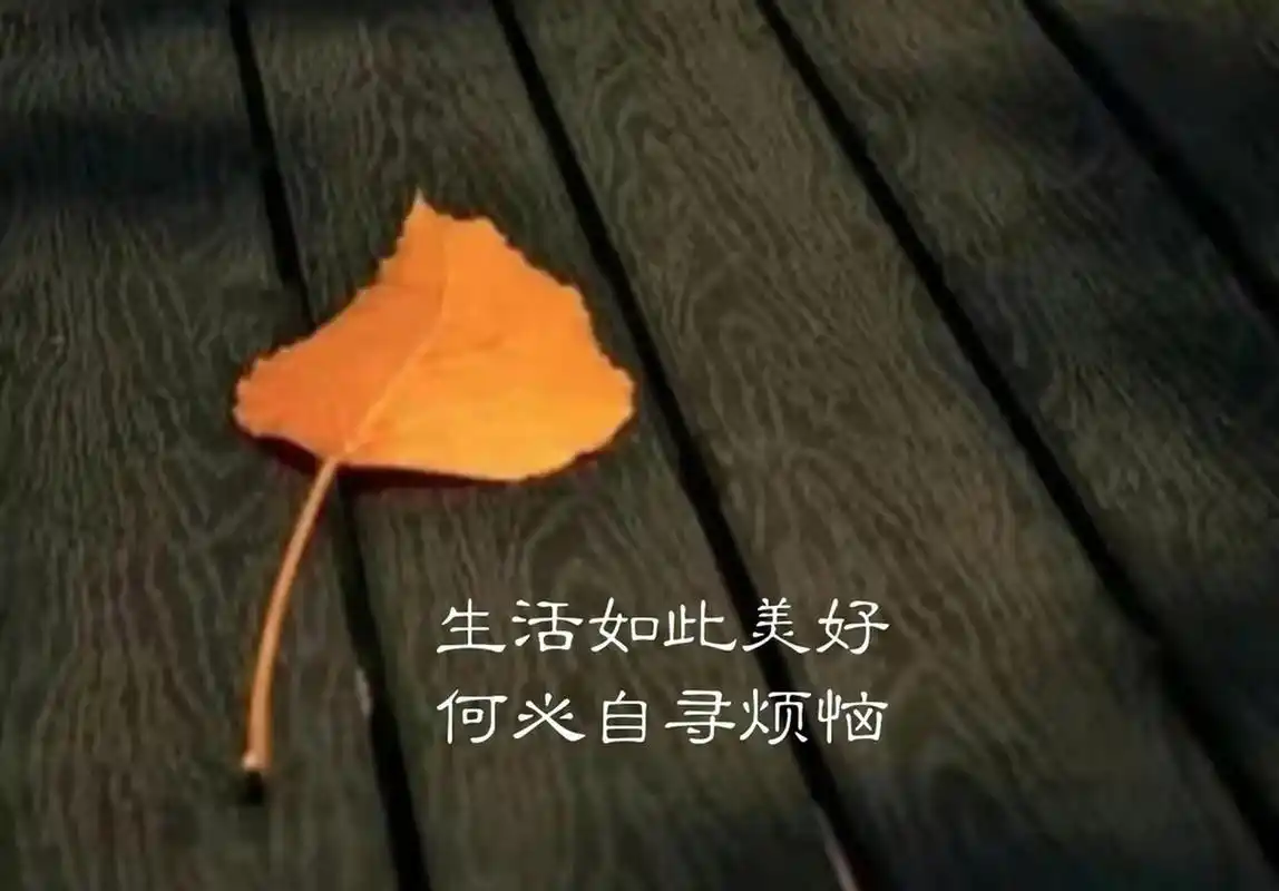 生活如此美好,何必自寻烦恼.