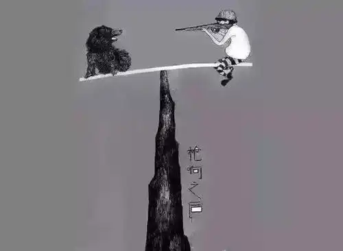 富含人生哲理的6张图片