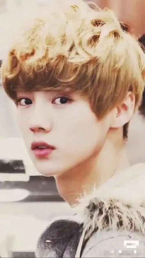 虽然exo成员有12个,但鹿晗的外貌依旧是最突出的那一个.