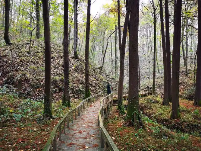 波尔登公园暮秋