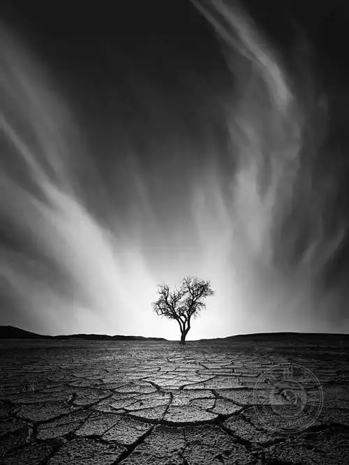 专业组2023年国际黑白摄影大奖赛获奖作品公布风光类