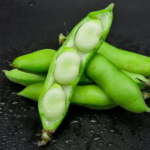 蚕豆新鲜5斤云南农家带壳生兰花胡豆佛青豆荚新鲜豆类
