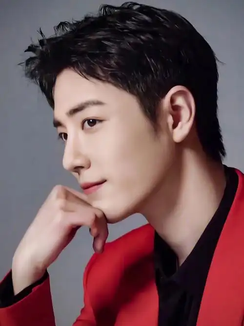 肖战红色合集五张